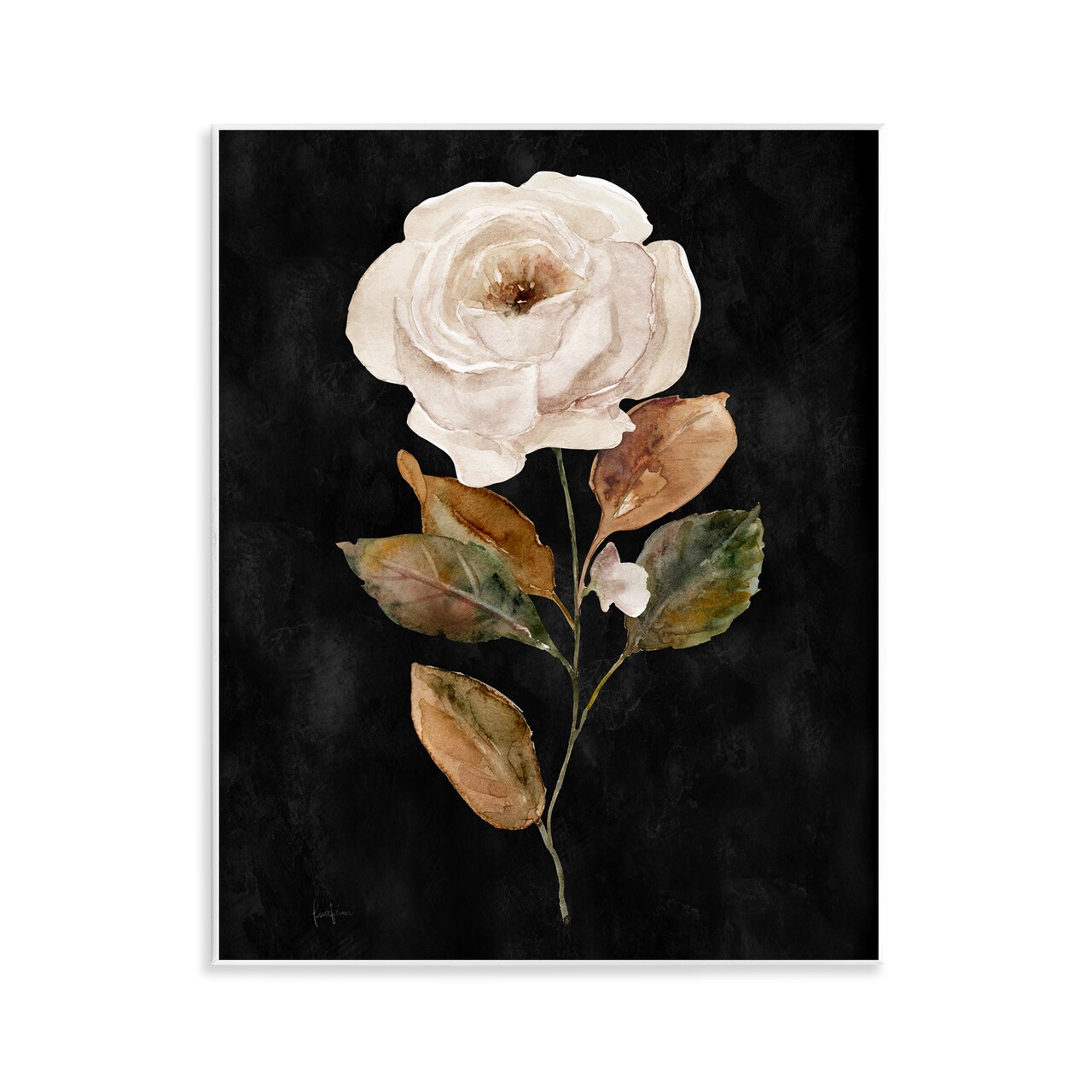Stupell Industries White Rose on Black Wall Plaque Art Design by Livi Finn